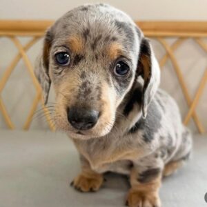 WhatsApp Image 2026-01-20 at 15.16.30