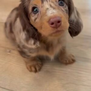 WhatsApp Image 2026-01-20 at 15.18.55